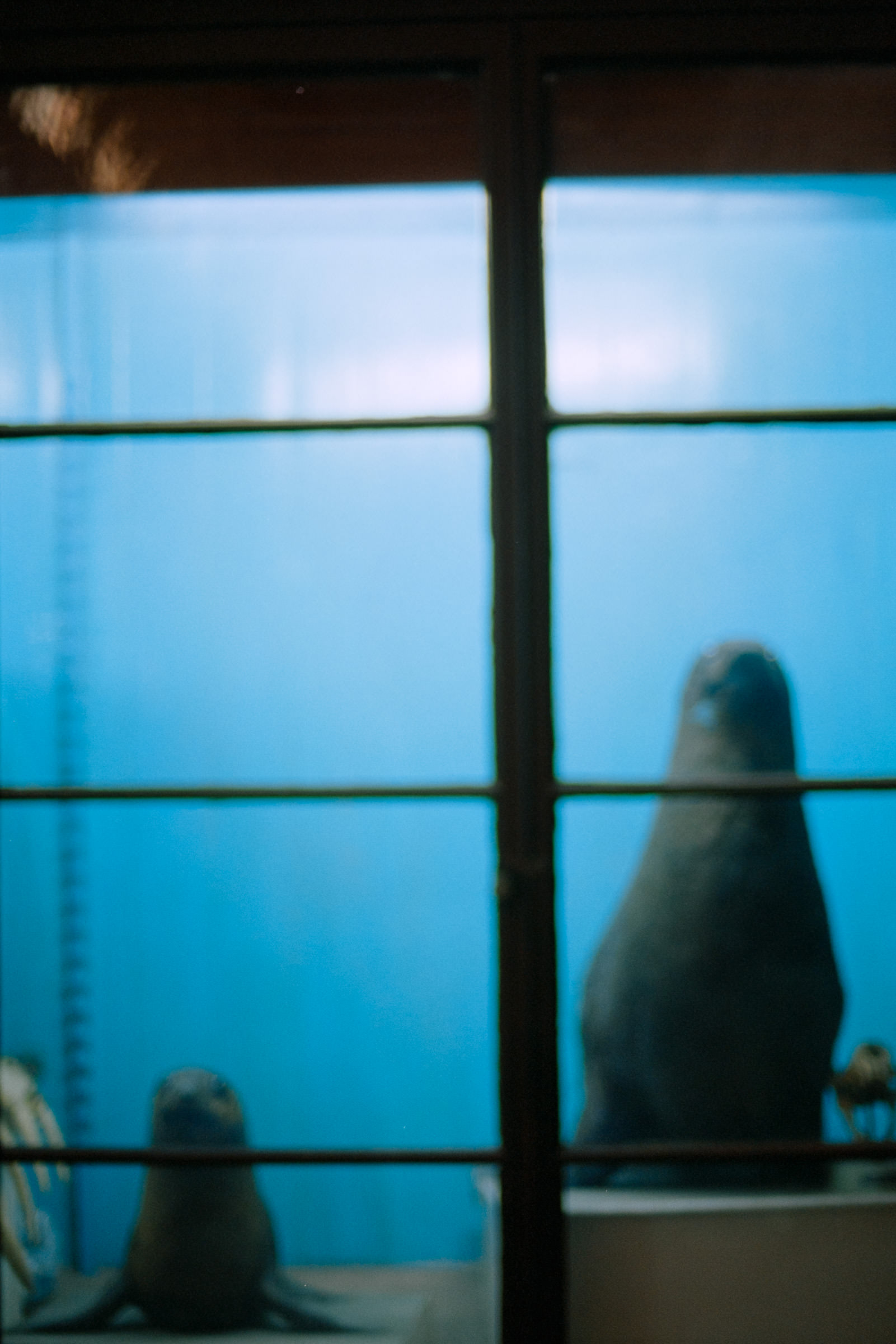 AHP film 2005 01 001 sc240825 img29 NLP